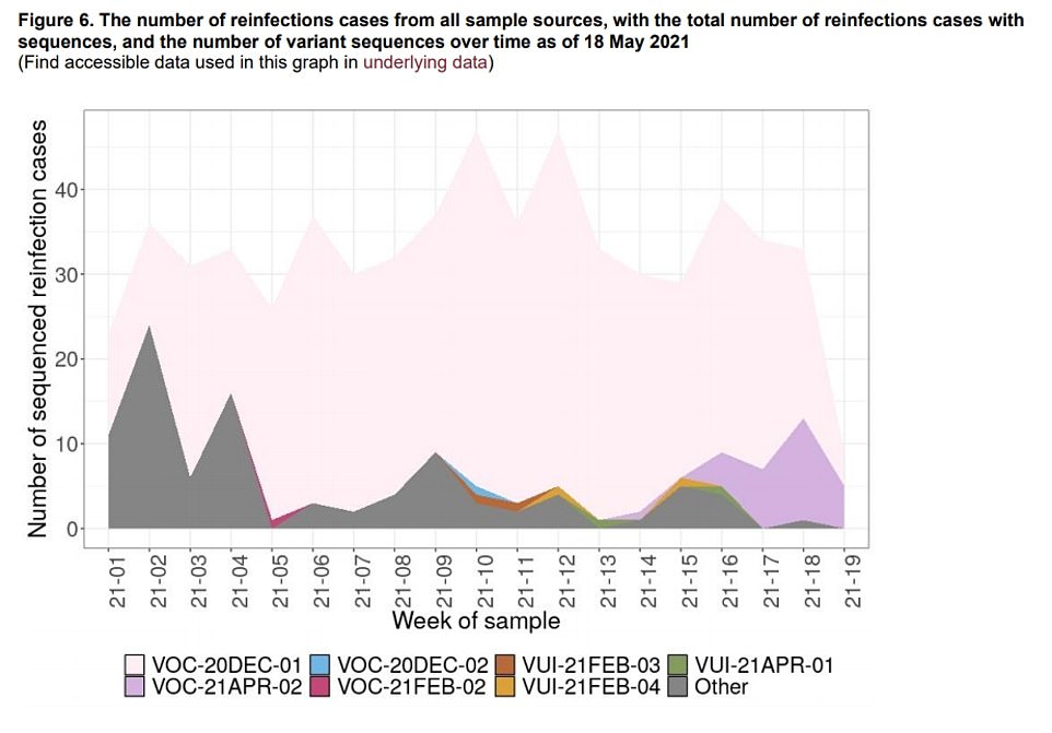 Separate figures also show the number of suspected reinfections over time, which are broken down into different types of the coronavirus. The purple area highlights reinfections seen in people who have caught the Indian variant